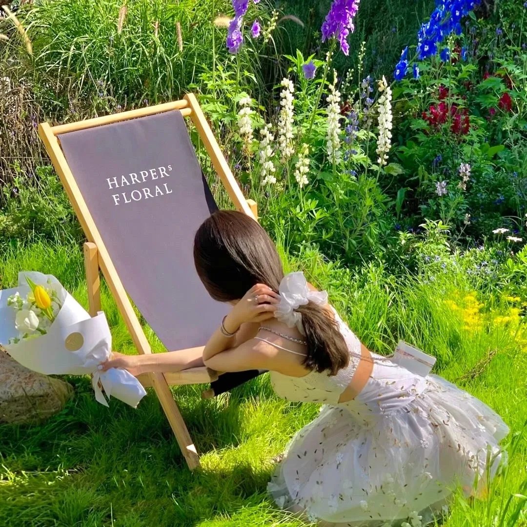 伊凡瓦西里耶维奇：回到未来